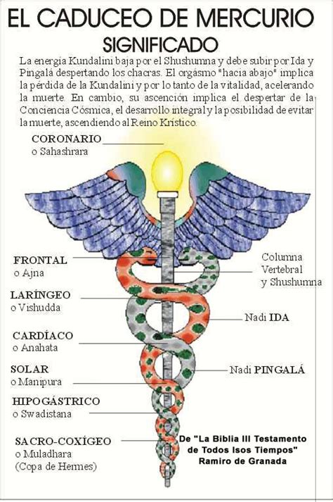 baculo de hermes